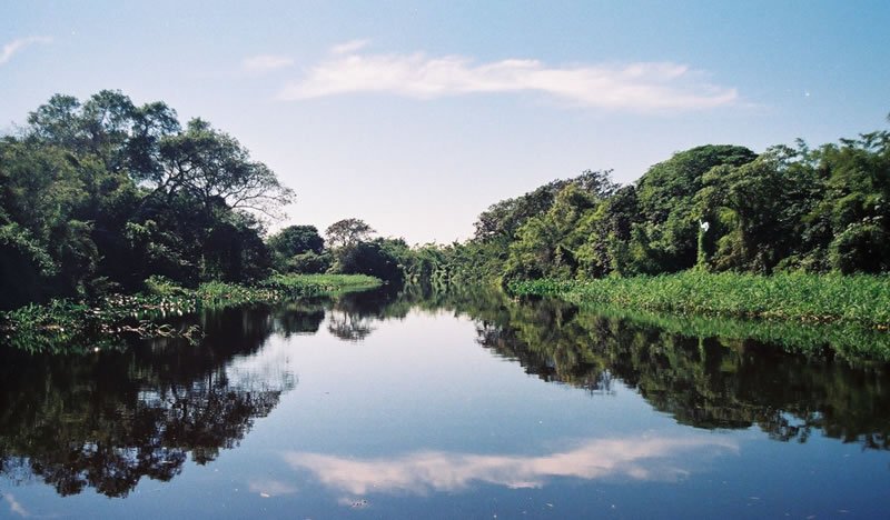 Jaaukanigás, el humedal Santafesino que busca ser Parque Nacional