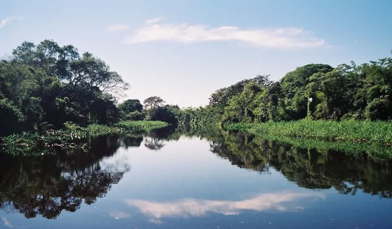 Jaaukanigás, el humedal Santafesino que busca ser Parque Nacional