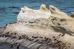 Parque Nacional Monte León