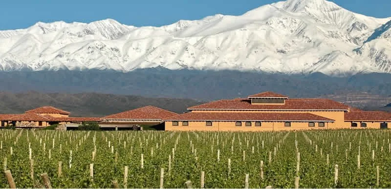 Bodegas para visitar en Mendoza