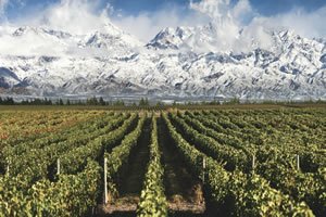 Mendoza