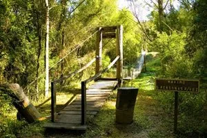 Parque Nacional Chaco
