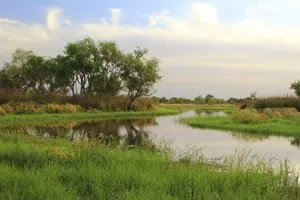 Parque Nacional Pre Delta