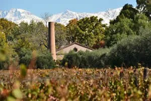 Visitando Bodegas en la ciudad de Mendoza