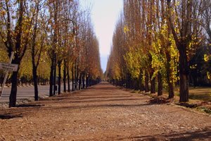 Ciudad de Mendoza