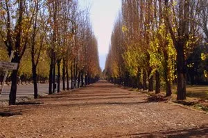 Ciudad de Mendoza